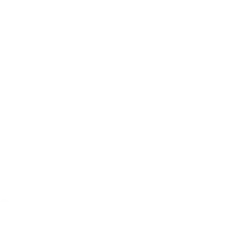 +500m2 Projektionsfläche